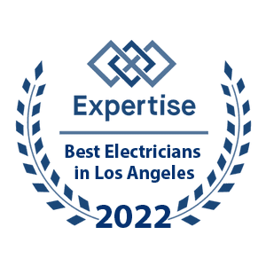 Expertise Best Electrician Award